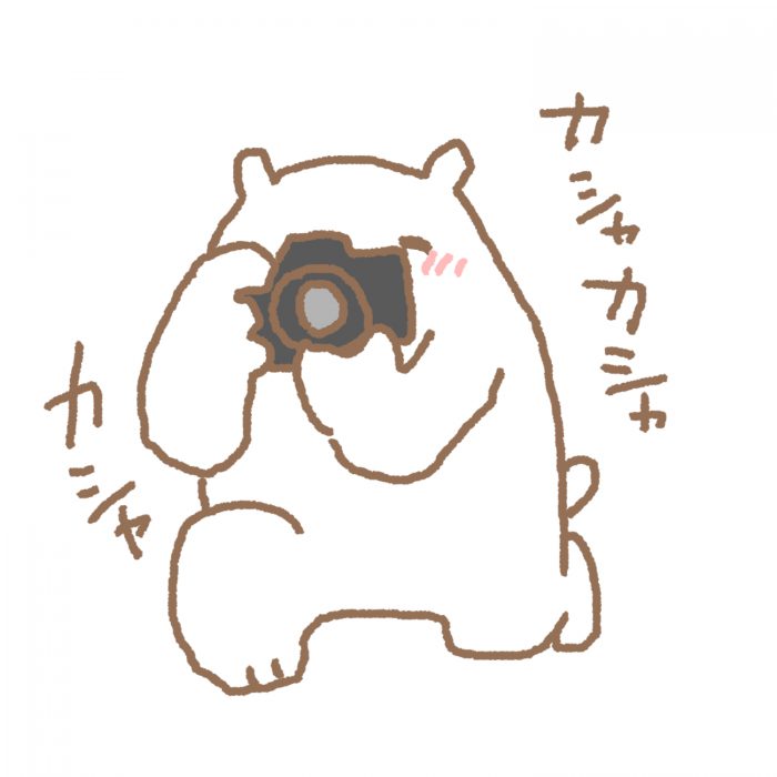 カメラマンくま